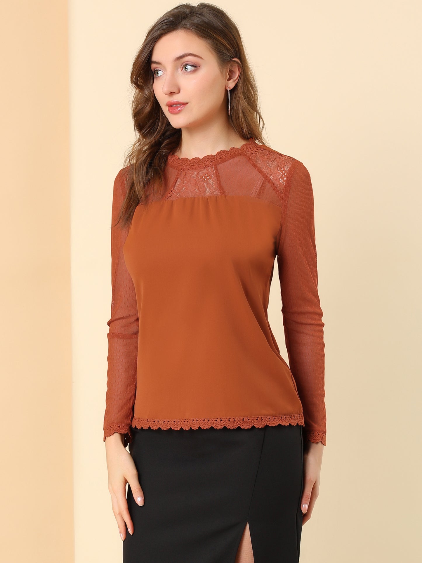 Women's Chiffon Top Elegant Sheer Mesh Lace Long Sleeve Blouse (Available in Plus Size)