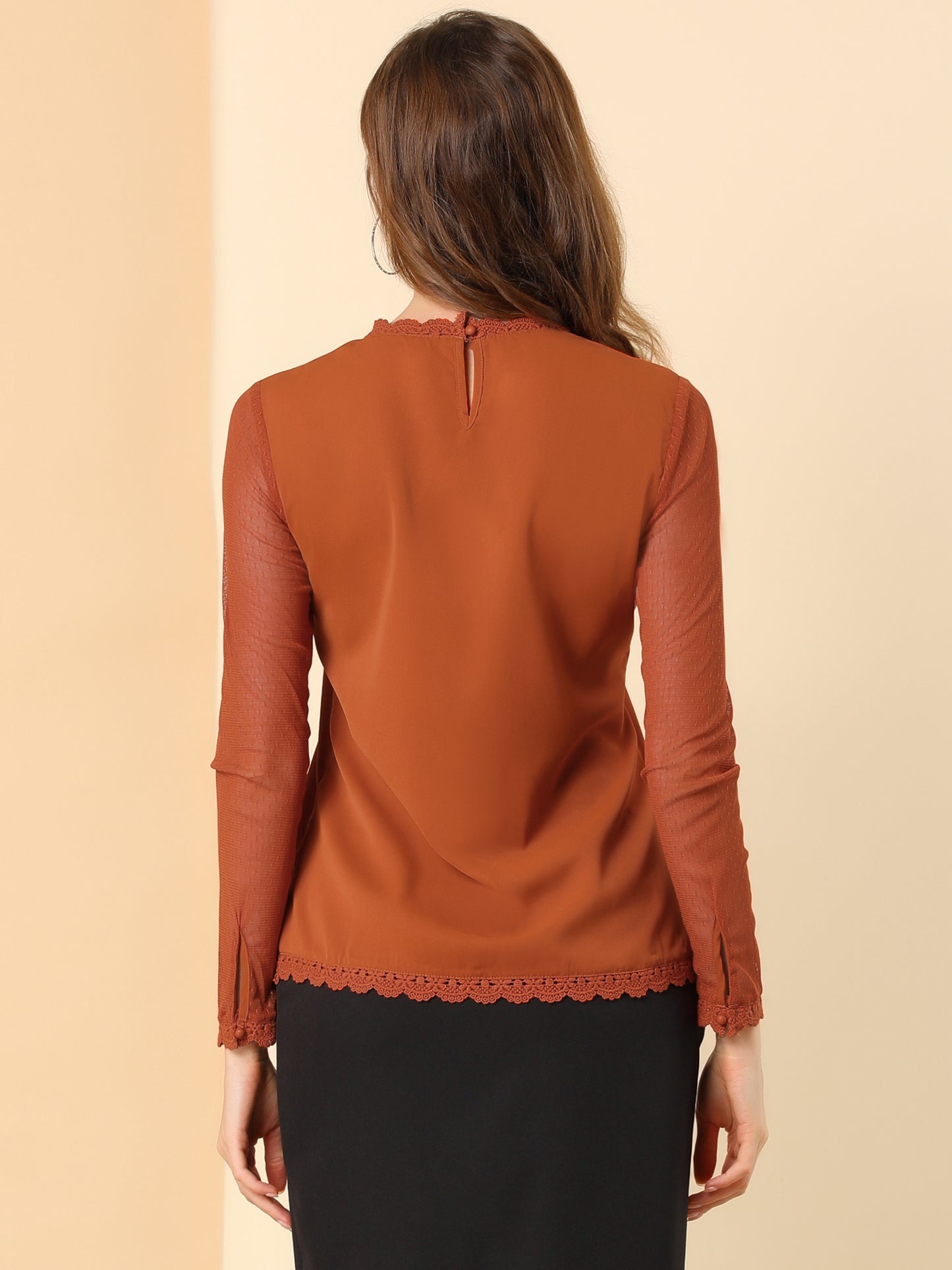 Women's Chiffon Top Elegant Sheer Mesh Lace Long Sleeve Blouse (Available in Plus Size)