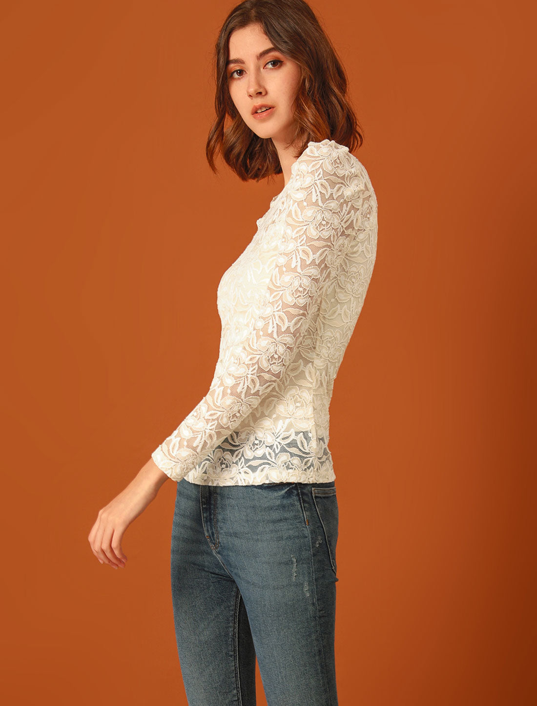 Women's Lace Embroidery Semi Sheer Vintage Puff Sleeve Top (Available in Plus Size)