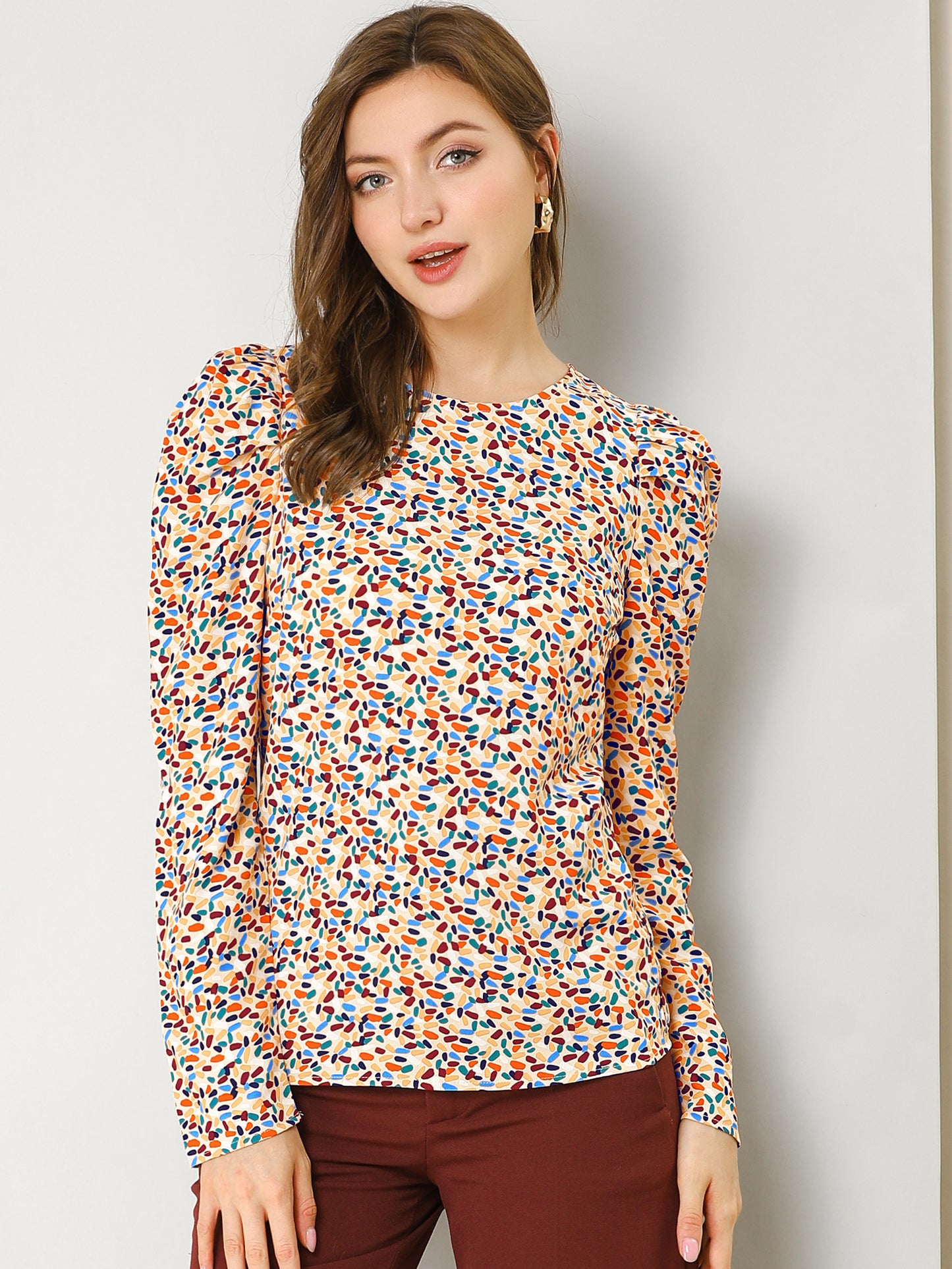 Women's Puff Long Sleeve Round Neck Puffy Chiffon Blouse Top