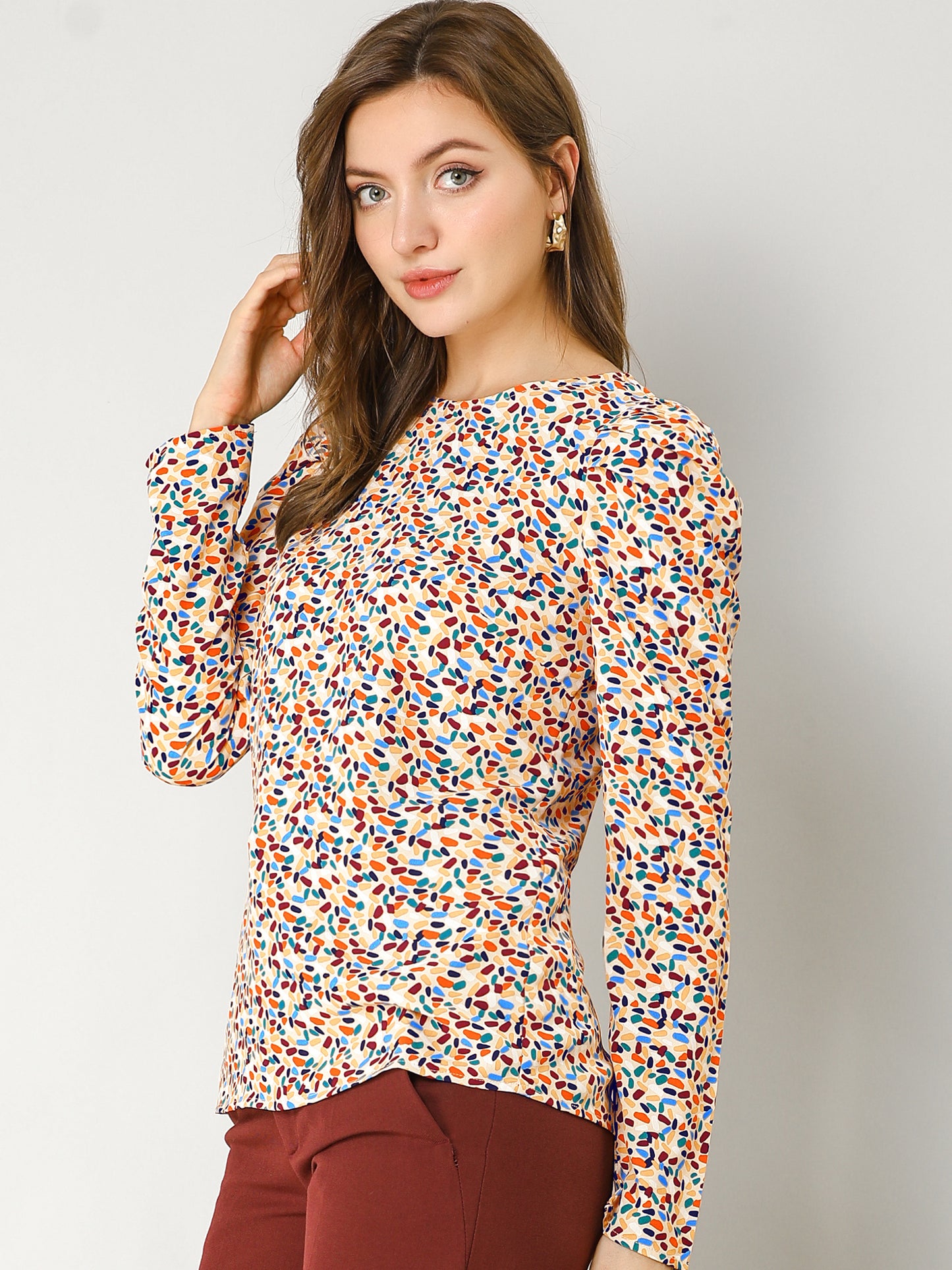 Women's Puff Long Sleeve Round Neck Puffy Chiffon Blouse Top