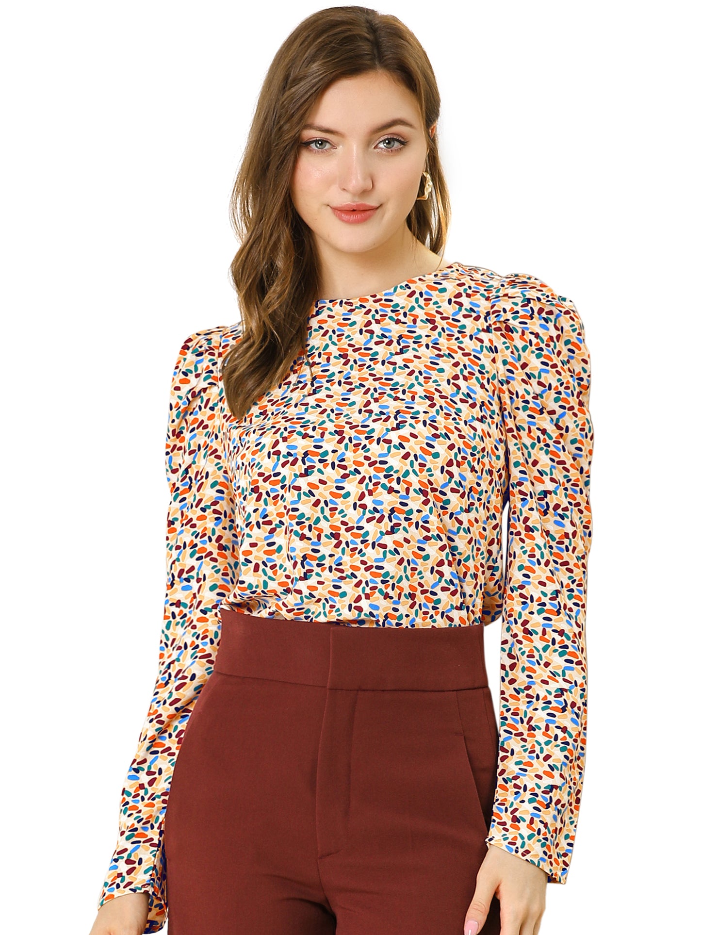 Women's Puff Long Sleeve Round Neck Puffy Chiffon Blouse Top