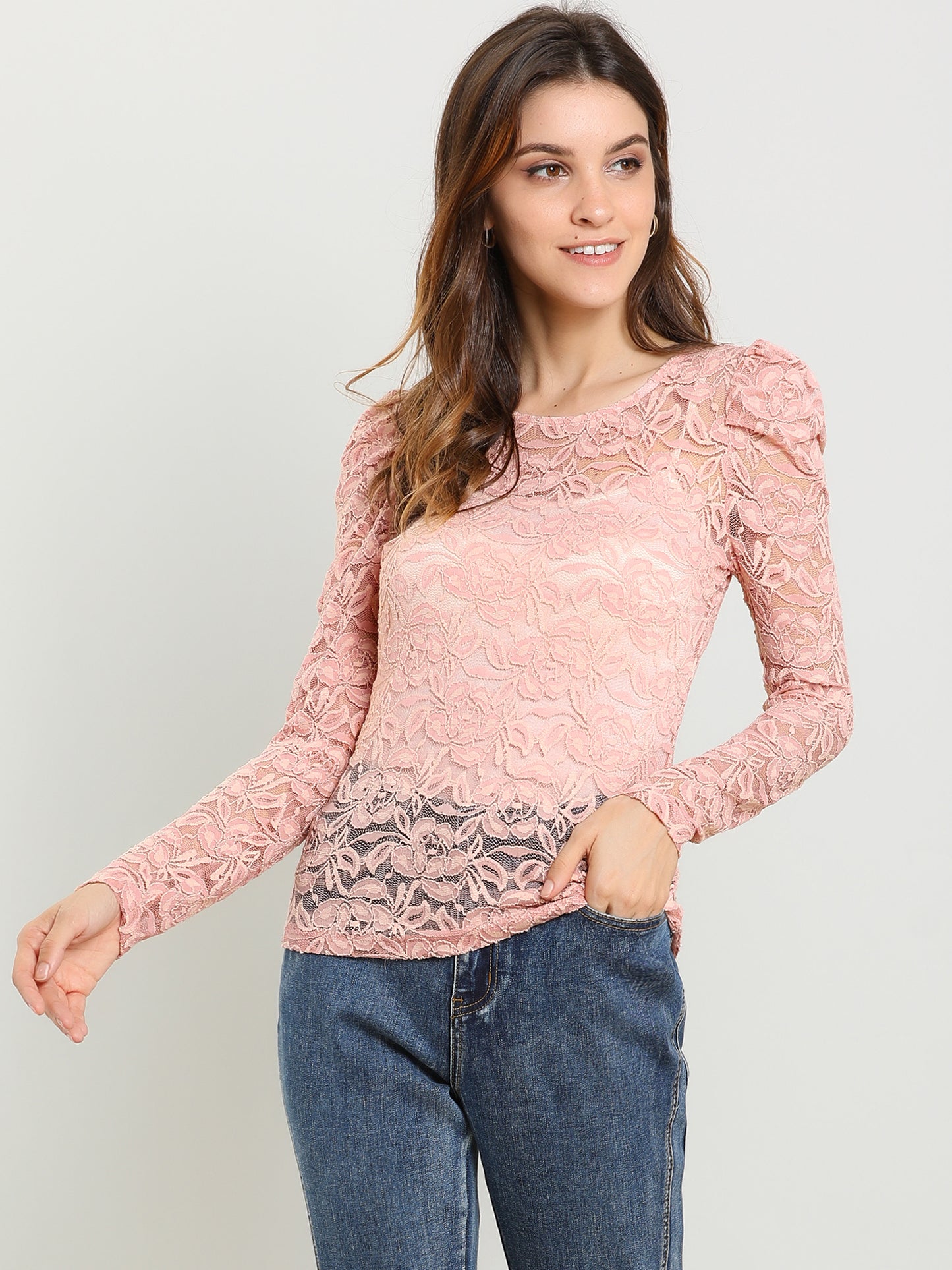 Women's Lace Embroidery Semi Sheer Vintage Puff Sleeve Top (Available in Plus Size)