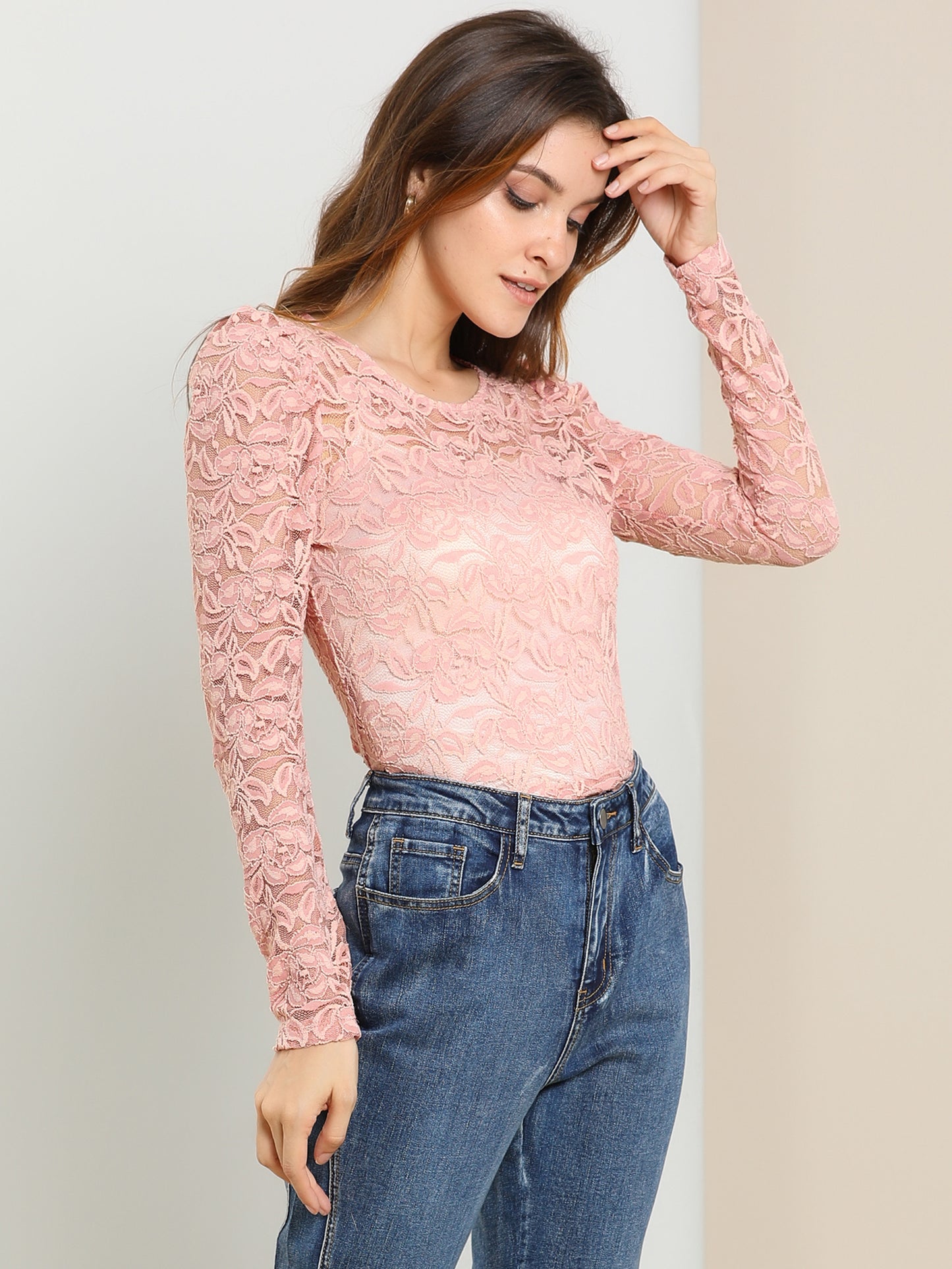 Women's Lace Embroidery Semi Sheer Vintage Puff Sleeve Top (Available in Plus Size)