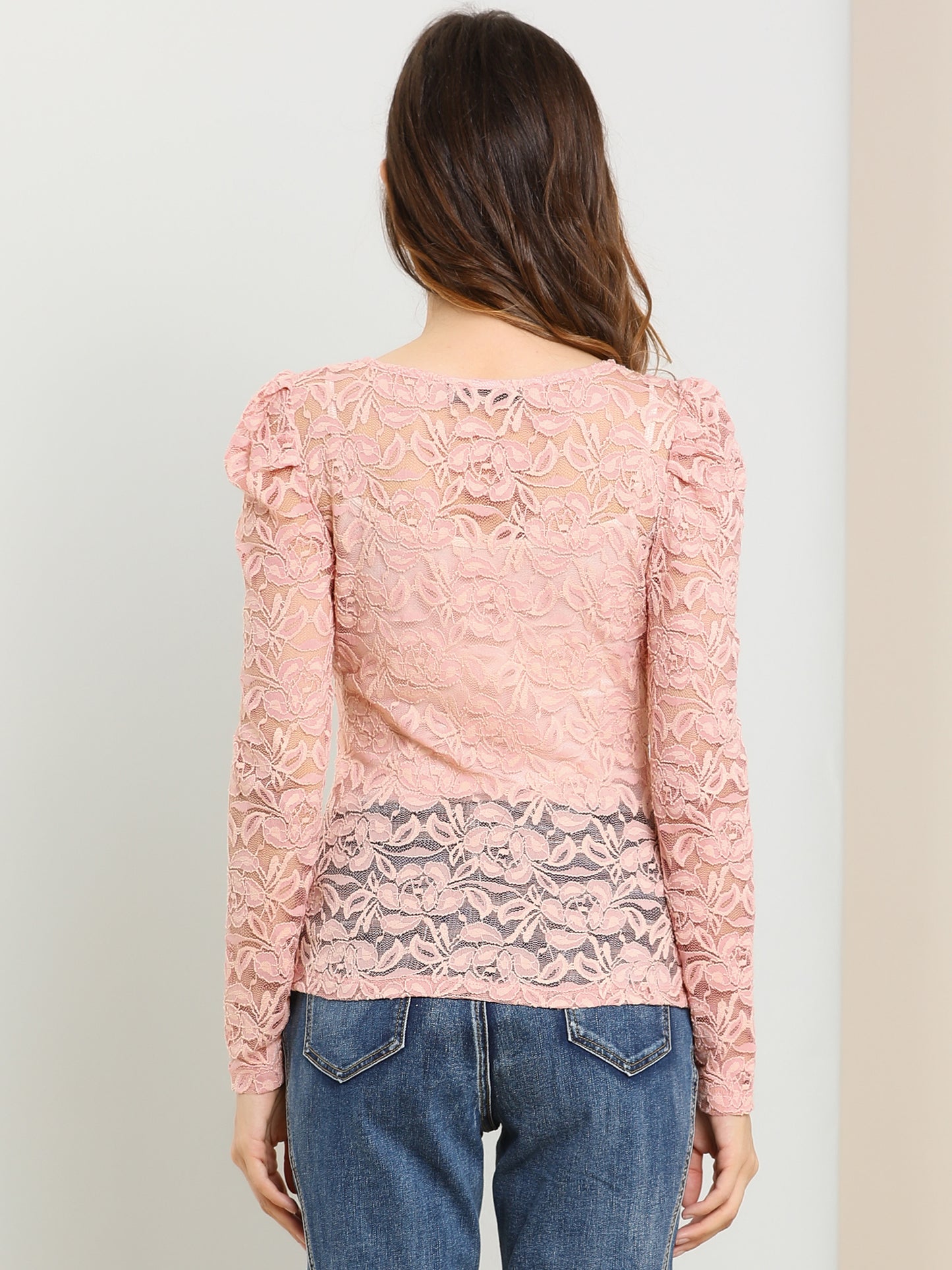 Women's Lace Embroidery Semi Sheer Vintage Puff Sleeve Top (Available in Plus Size)