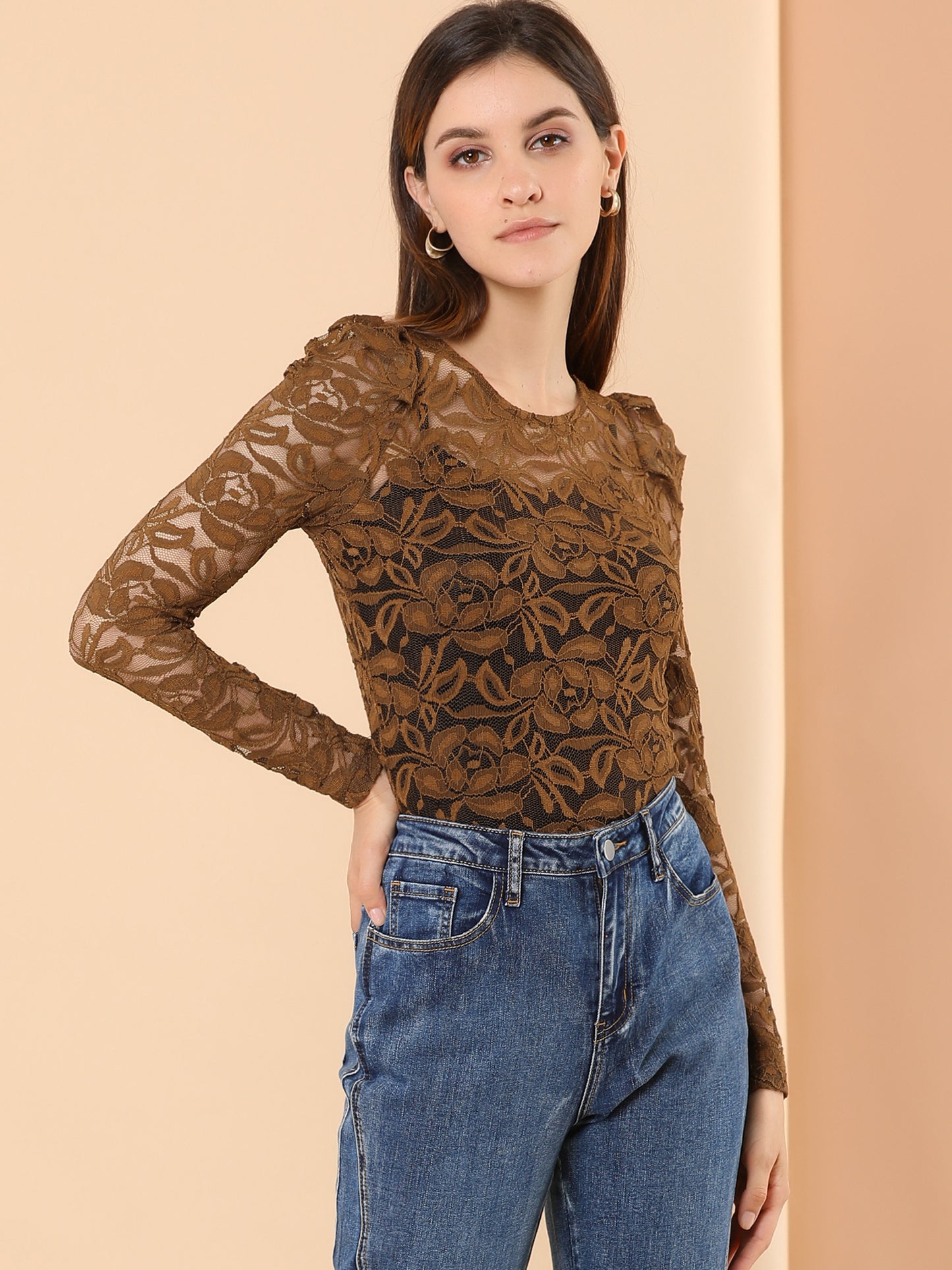 Women's Lace Embroidery Semi Sheer Vintage Puff Sleeve Top