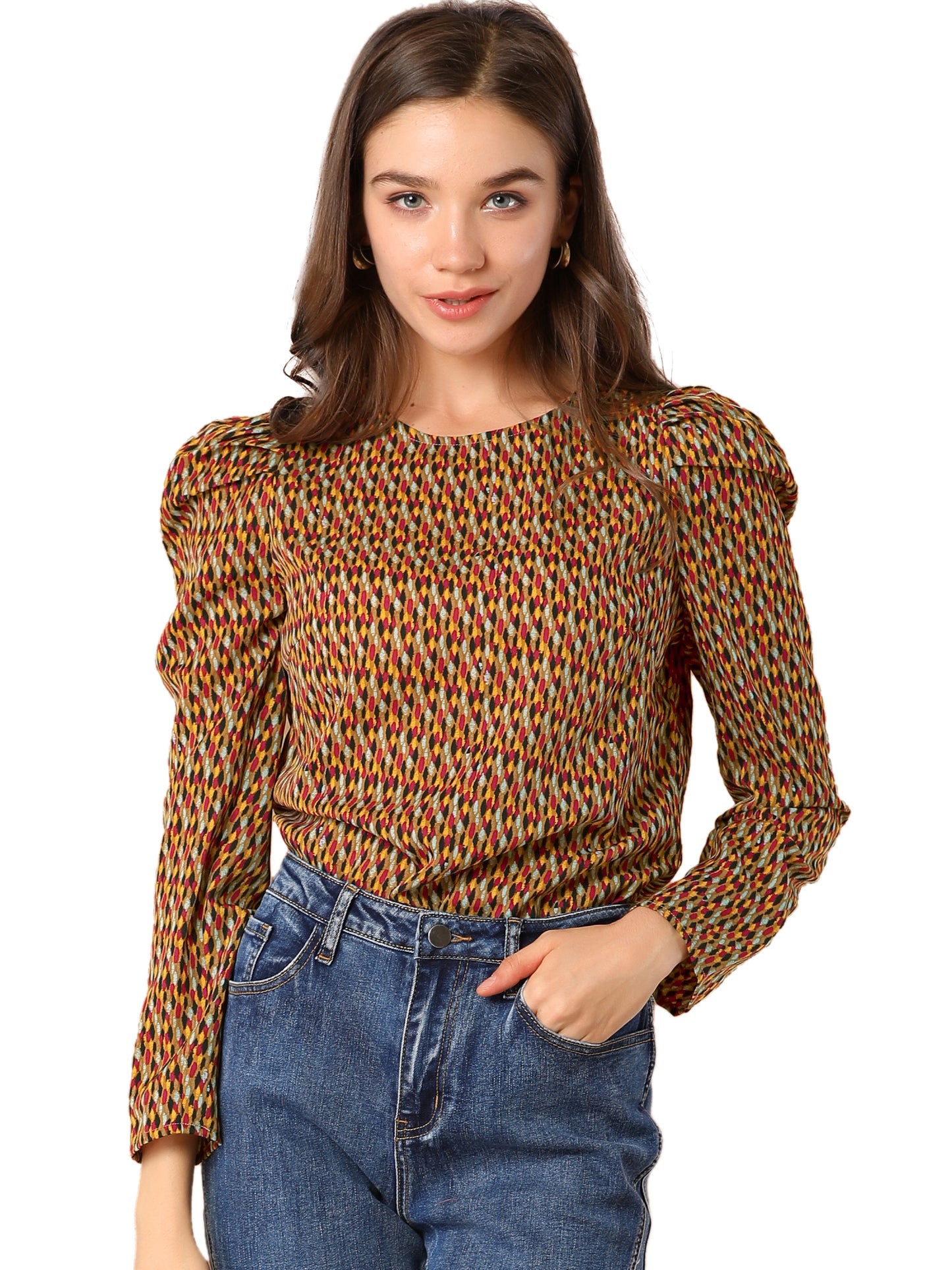 Women's Puff Long Sleeve Round Neck Puffy Chiffon Blouse Top