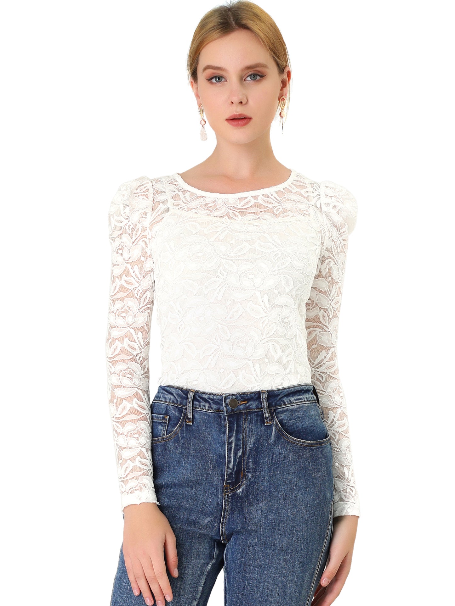 Women's Lace Embroidery Semi Sheer Vintage Puff Sleeve Top (Available in Plus Size)