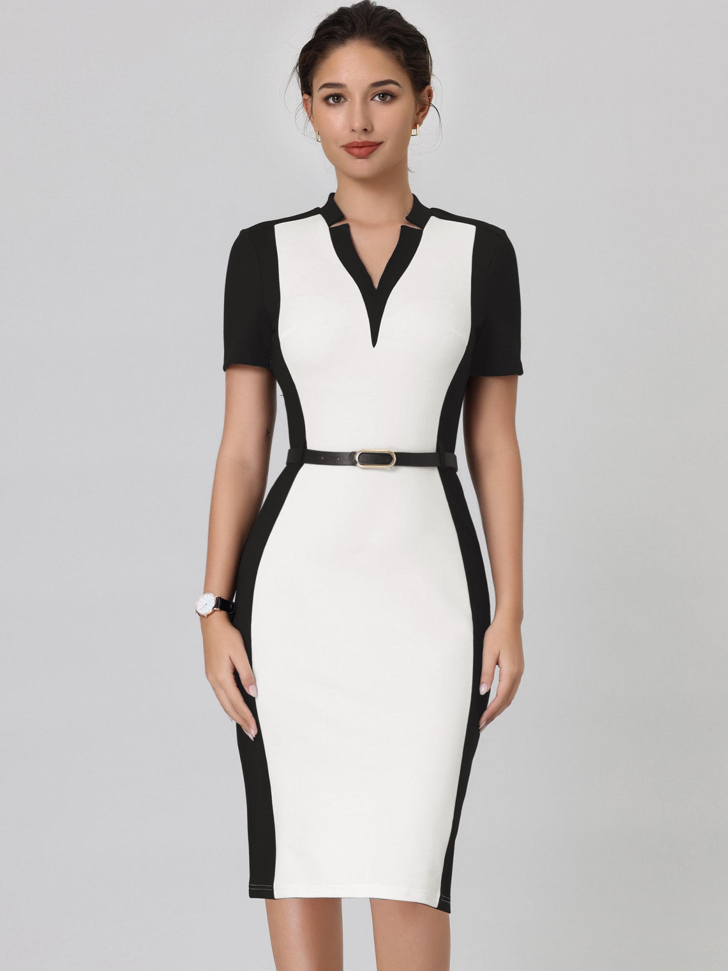 Women's Sheath Dress Office Contrast Color Business Dresses