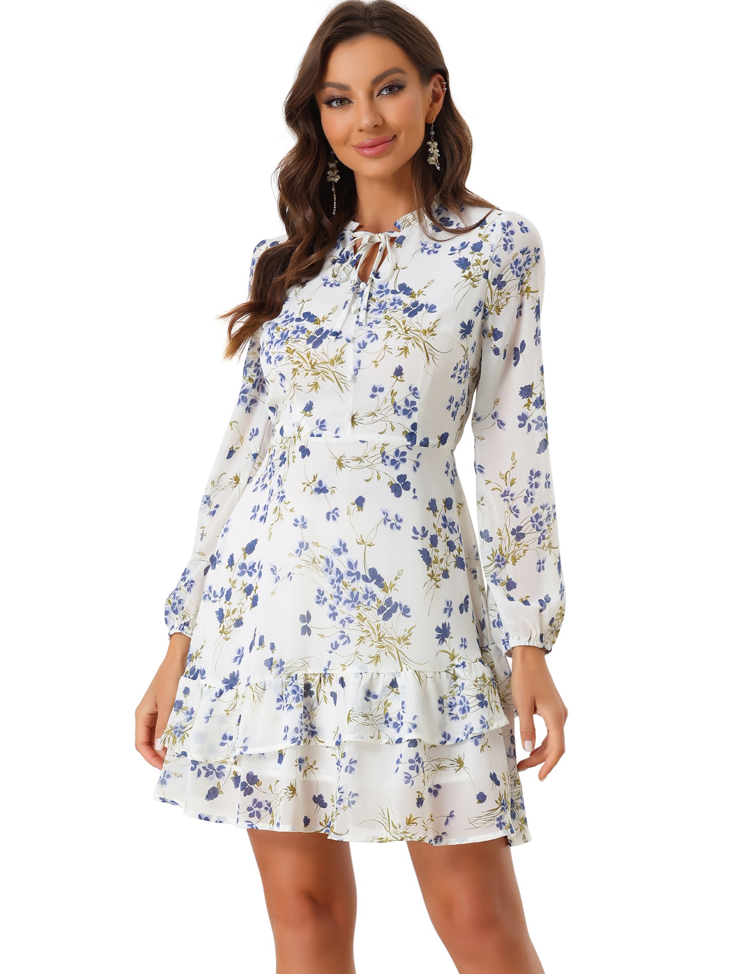 Women's Summer Dresses Floral Tie V Neck Semi Sheer Long Sleeve Layered Tiered Chiffon Mini Dress