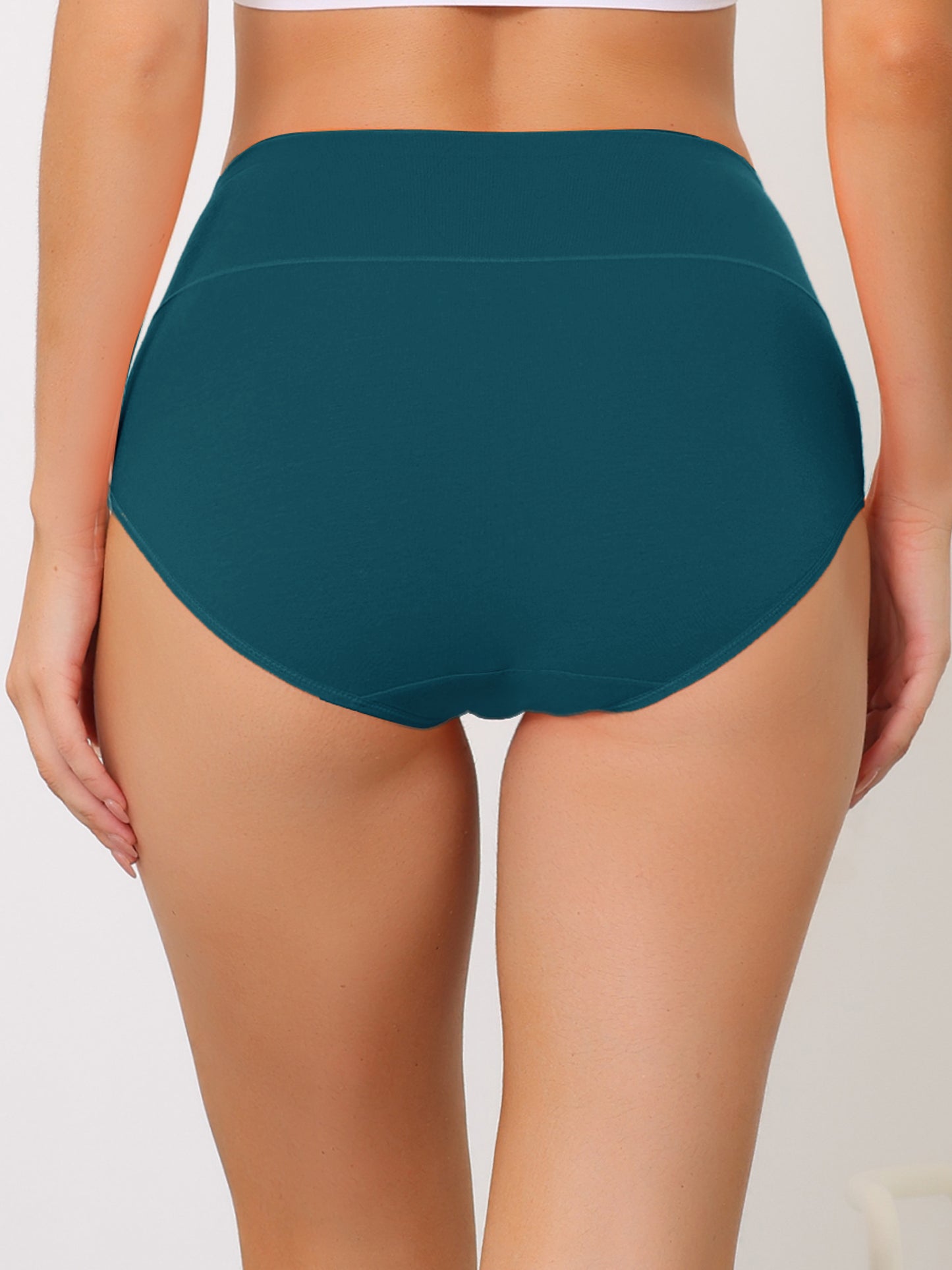 Women's High Waist Briefs (Available in Plus Size)