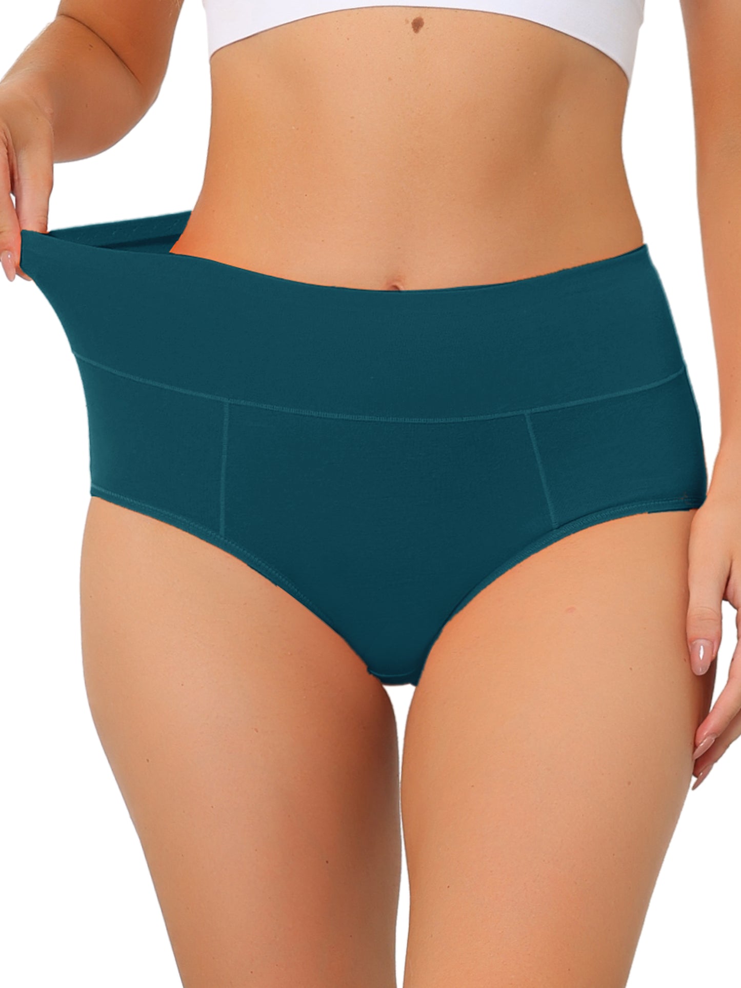 Women's High Waist Briefs (Available in Plus Size)