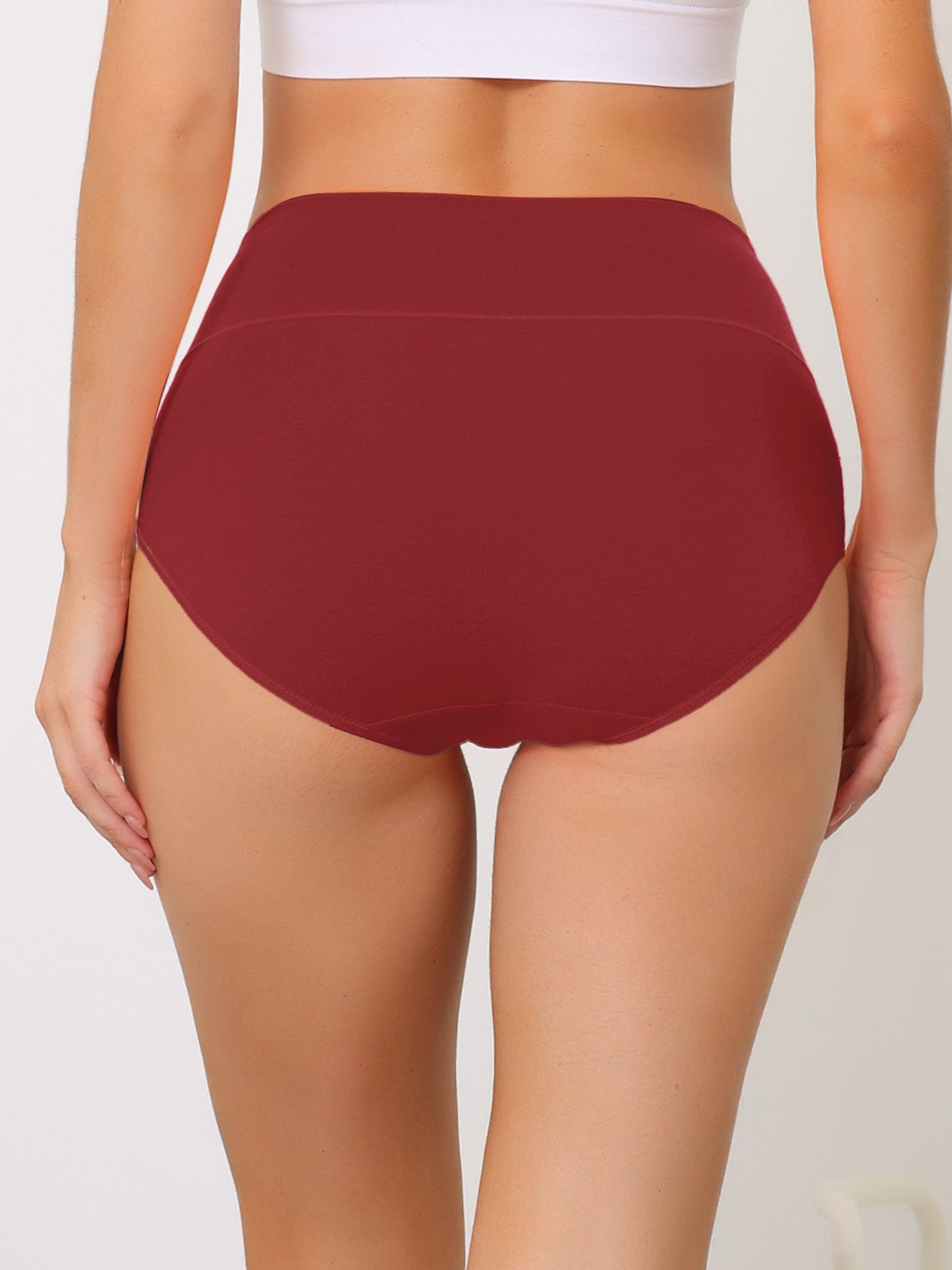 Women's High Waist Briefs (Available in Plus Size)