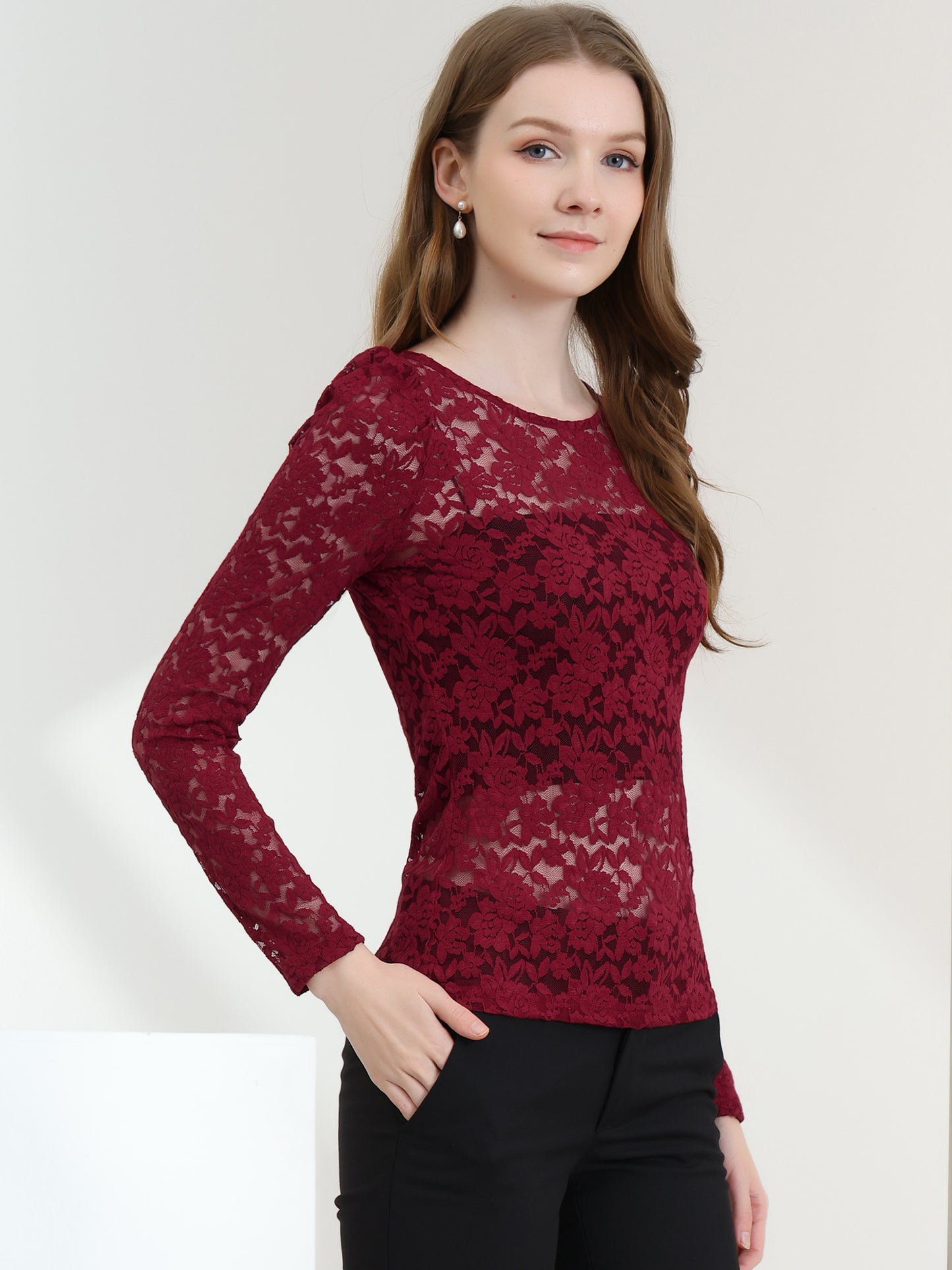 Women's Lace Embroidery Semi Sheer Vintage Puff Sleeve Top