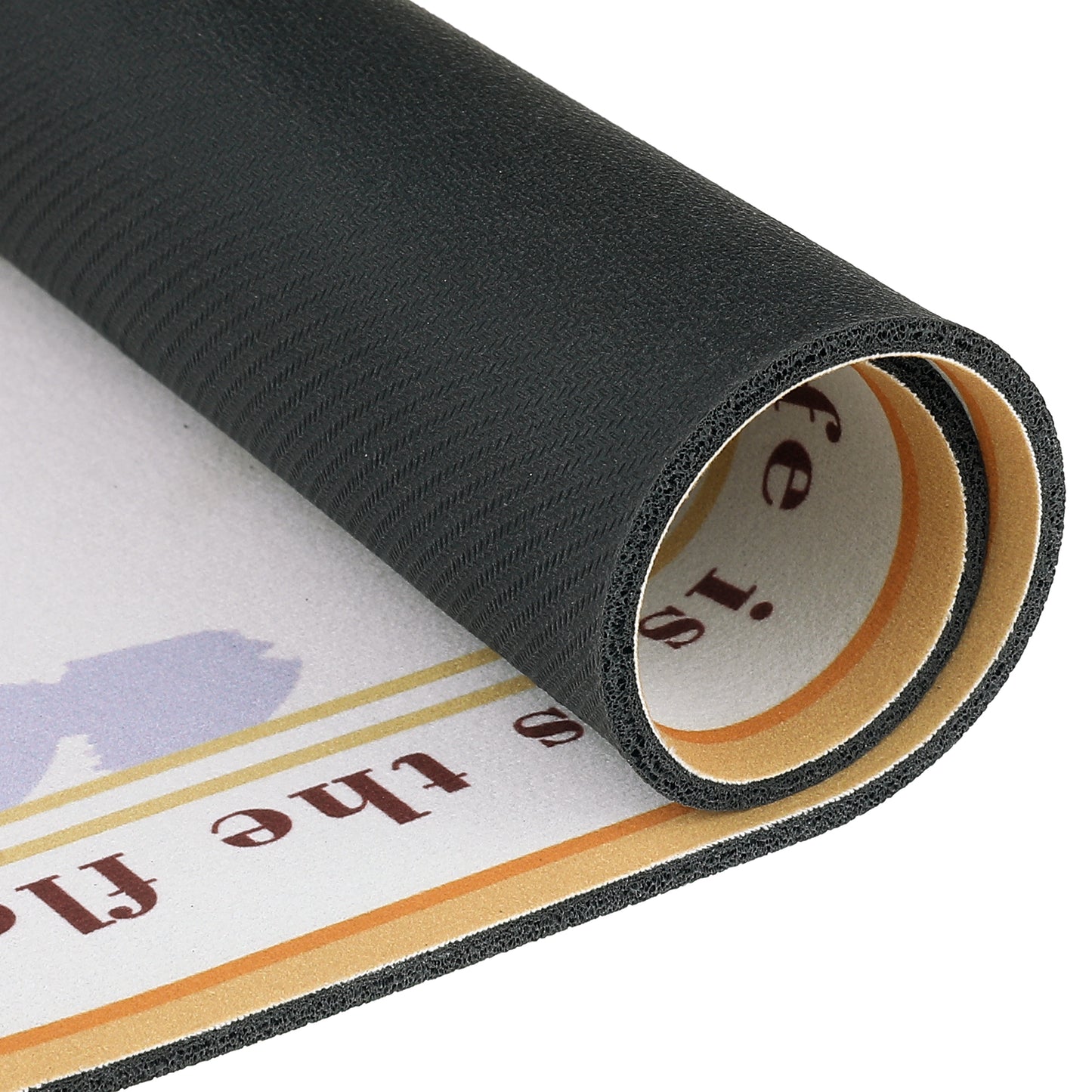PVC Rubber Non-Slip Quick Dry Rugs Fit Under Door Super Absorbent Thin Bath Mats for Bathroom