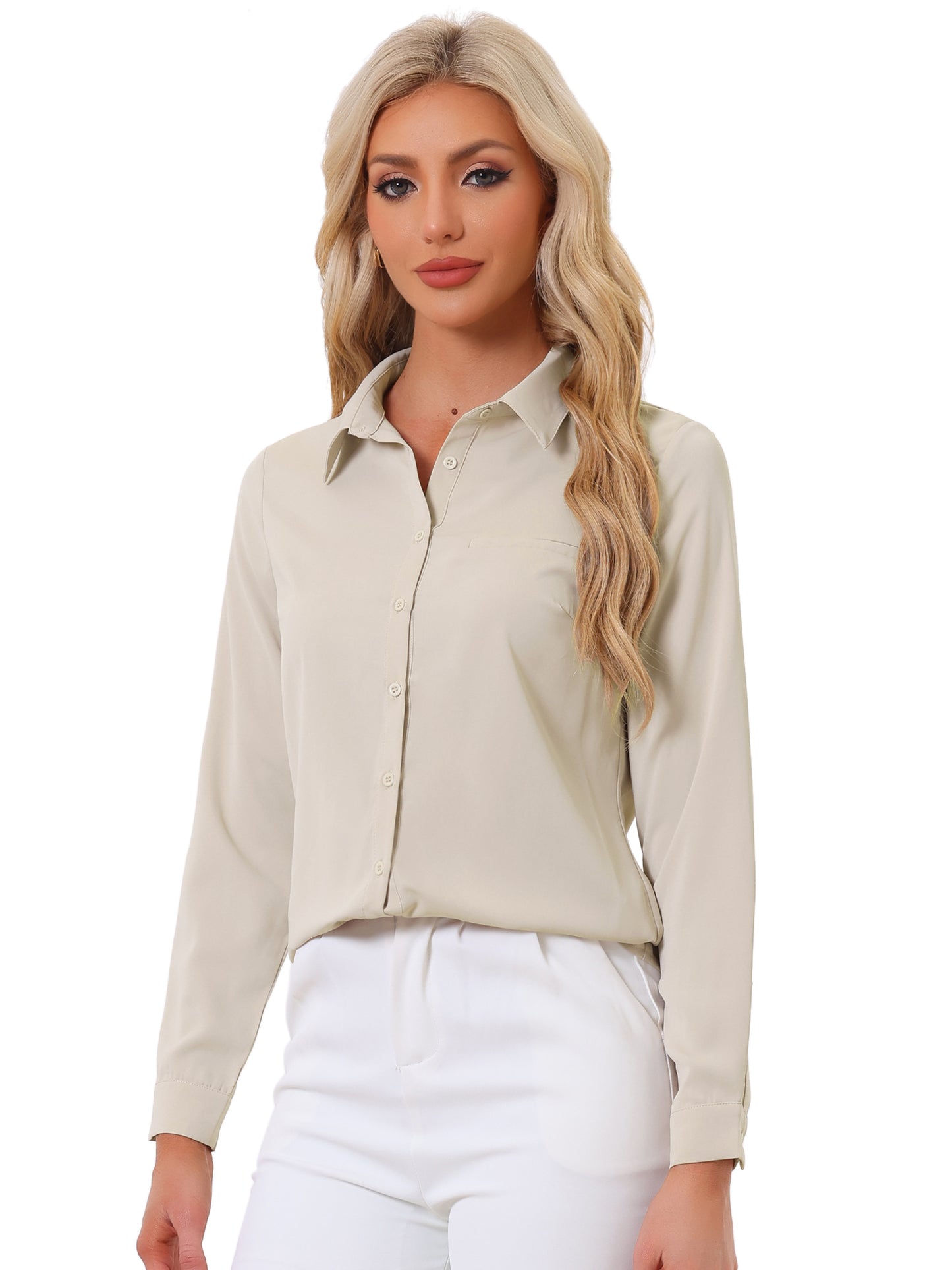 Women's Work Office Chiffon Long Sleeve Workwear Button Down Shirt (Available in Plus Size)