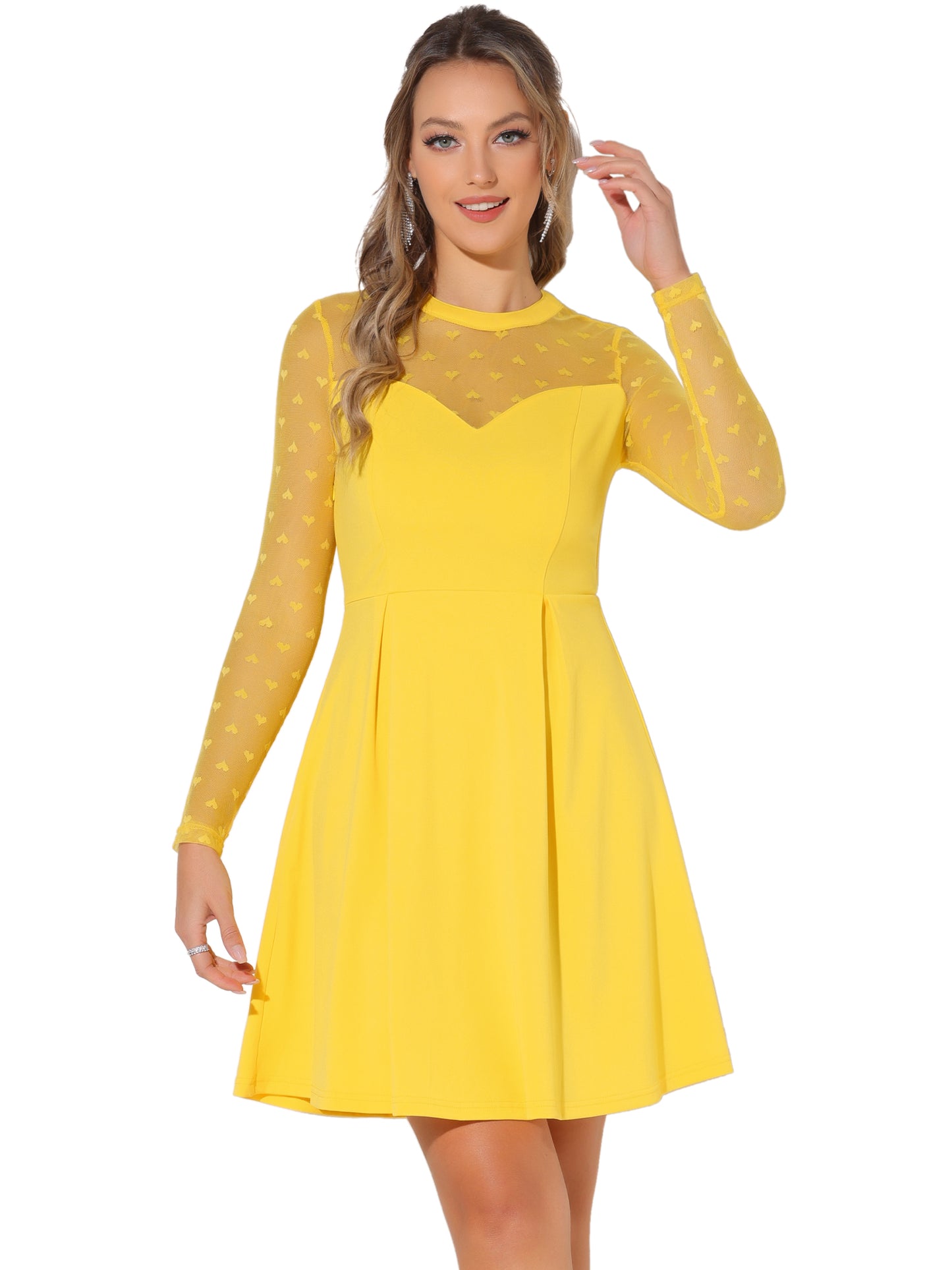 Women's Heart Mesh Sheer Long Sleeve Cocktail Party Skater Dress