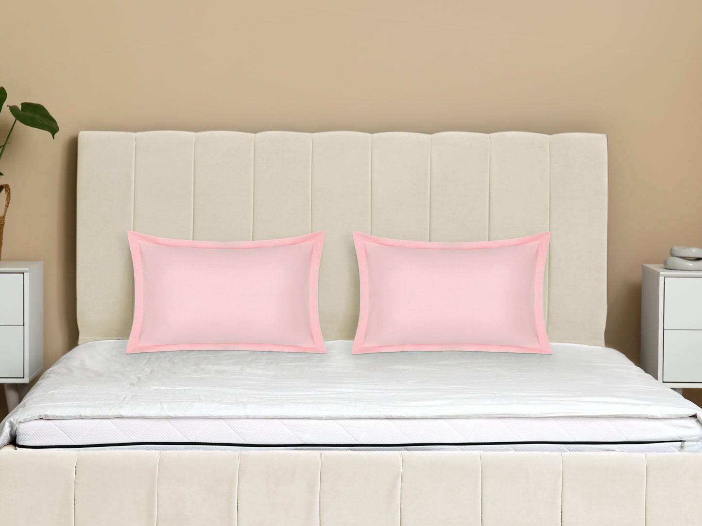 Velvet Pillow Cases Queen Size Set of 2, Pillow Covers with Zipper Closure