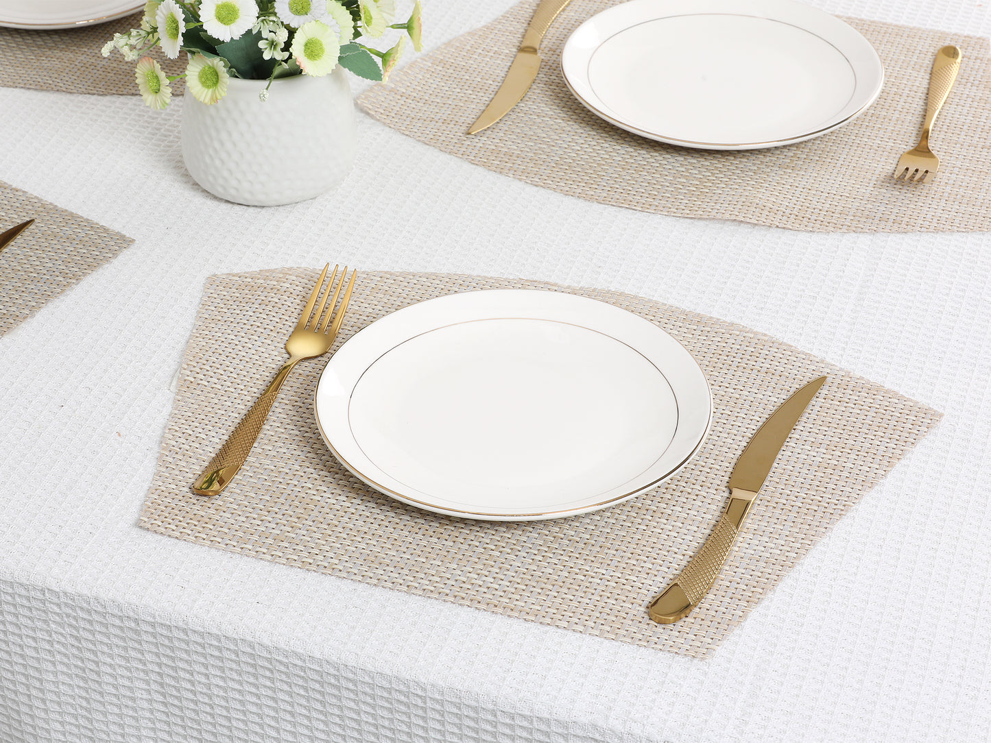 Placemats Set of 6 PVC Solid for Kitchen Dining Table Decor Wipeable 17*11.5in