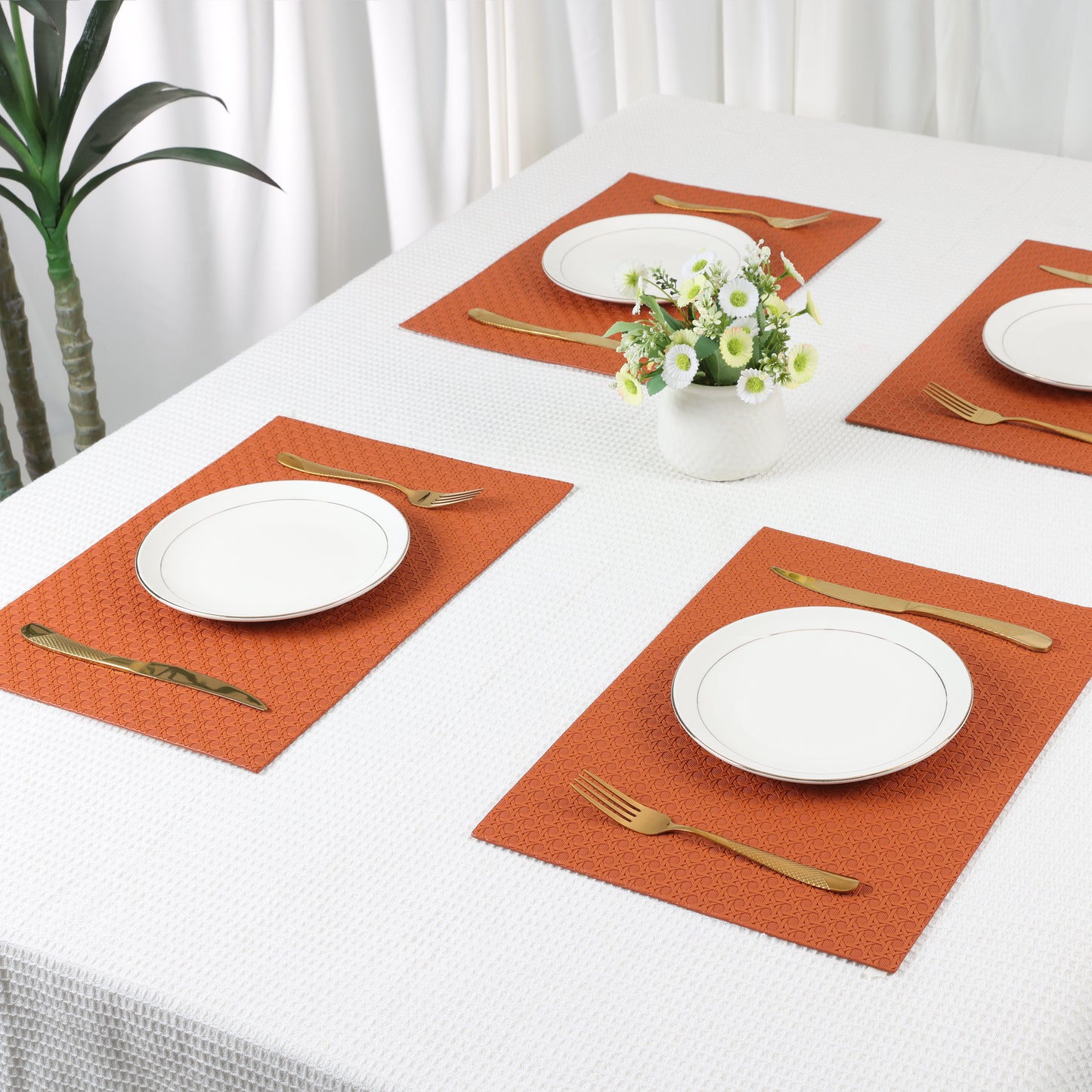 Placemats Set of 6 Woven for Dining Table Decor Indoor Outdoor Washable 17*12in