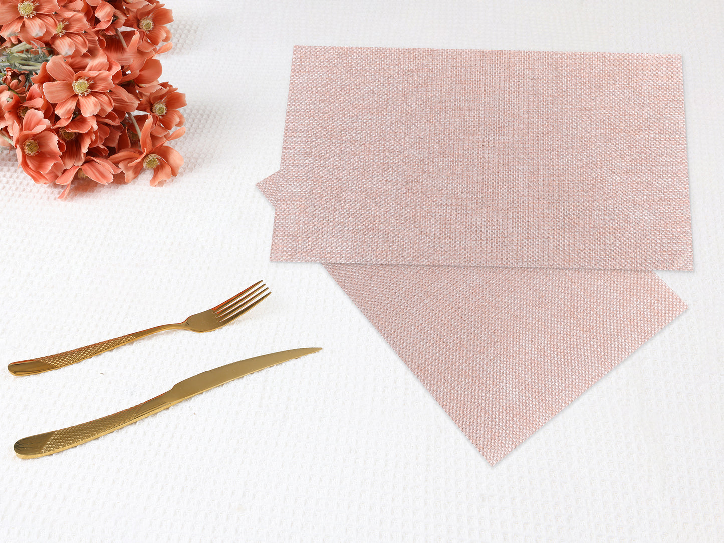 Placemats Set of 6 for Dining Table Decor Indoor Outdoor Washable 18*12in