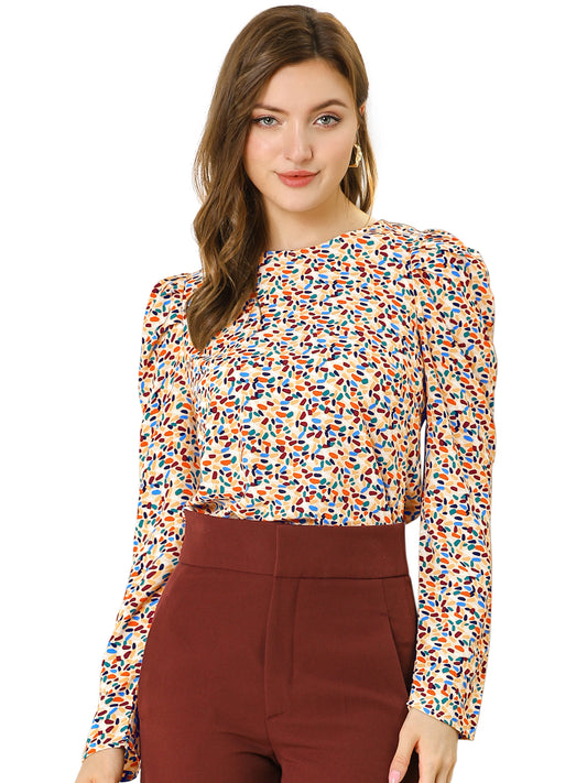 Women's Puff Long Sleeve Round Neck Puffy Chiffon Blouse Top