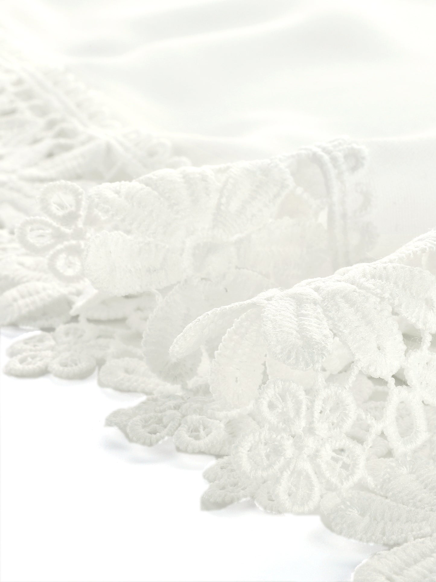 Women's Plus Size Top Casual Long Sleeves Pleated Lace Hollow Chiffon Blouse