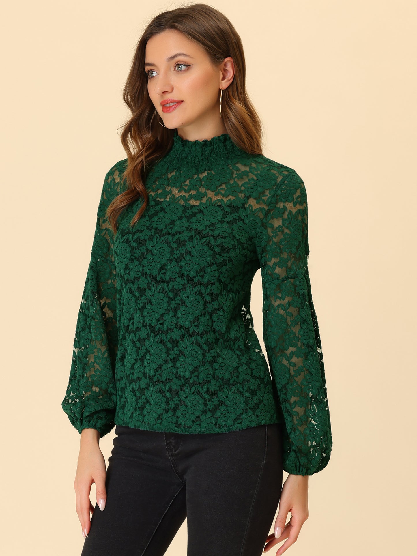 Women's Floral Lace Turtleneck Puff Long Sleeve See Through Sheer Blouse