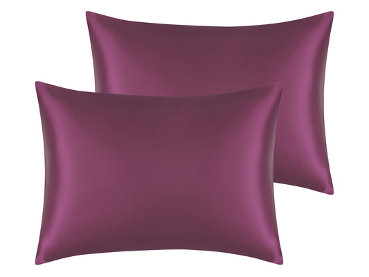 Satin Pillowcase Set of 2 Soft and Comfortable for Hair and Skin with Envelope Closure