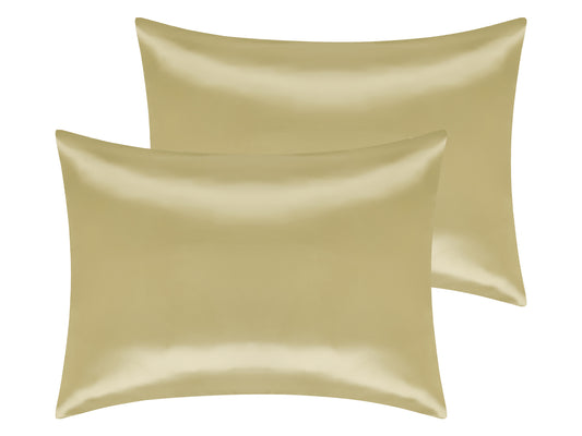 Satin Pillowcase Set of 2 Soft and Comfortable for Hair and Skin with Envelope Closure