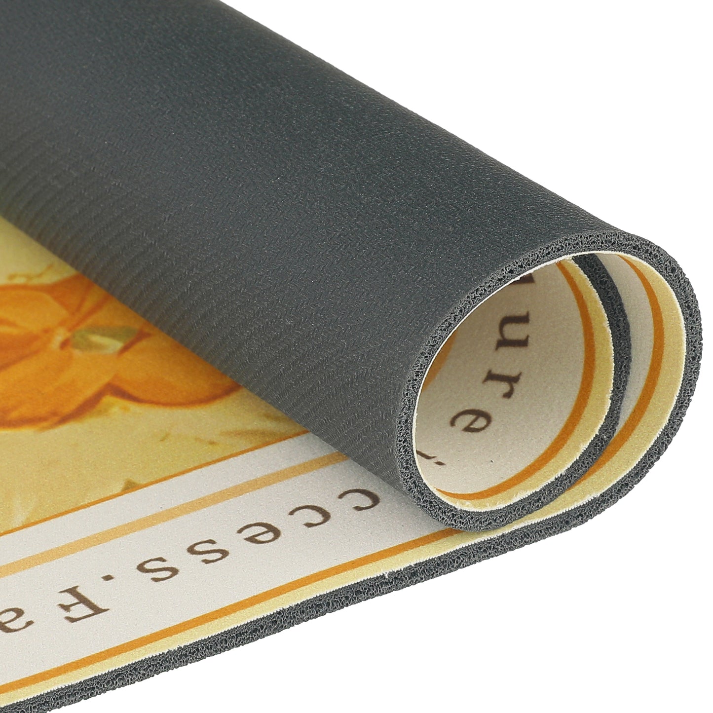 PVC Rubber Non-Slip Quick Dry Rugs Fit Under Door Super Absorbent Thin Bath Mats for Bathroom