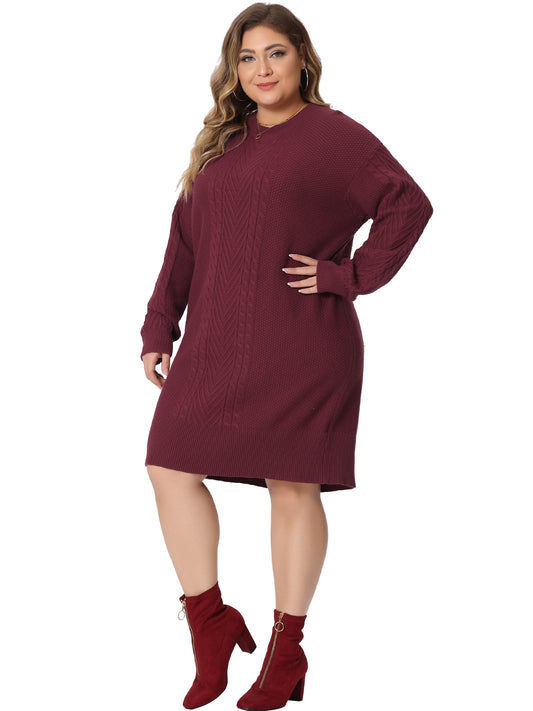 Women Plus Size Fall Crewneck Long Sleeve Knit Tunic Pullover Short Sweater Dress