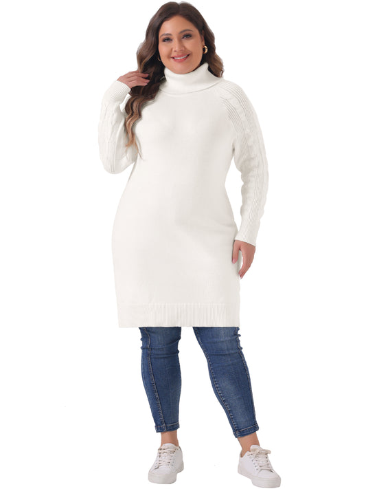Women Plus Size Sweaters Long Sleeve Turtleneck Warm Pullover Long Sweater Dresses