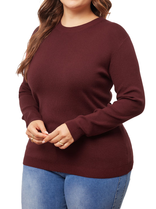 Women Plus Size Sweater Long Sleeve Crewneck Pullover Fall Knit Casual Basic Tee Tops