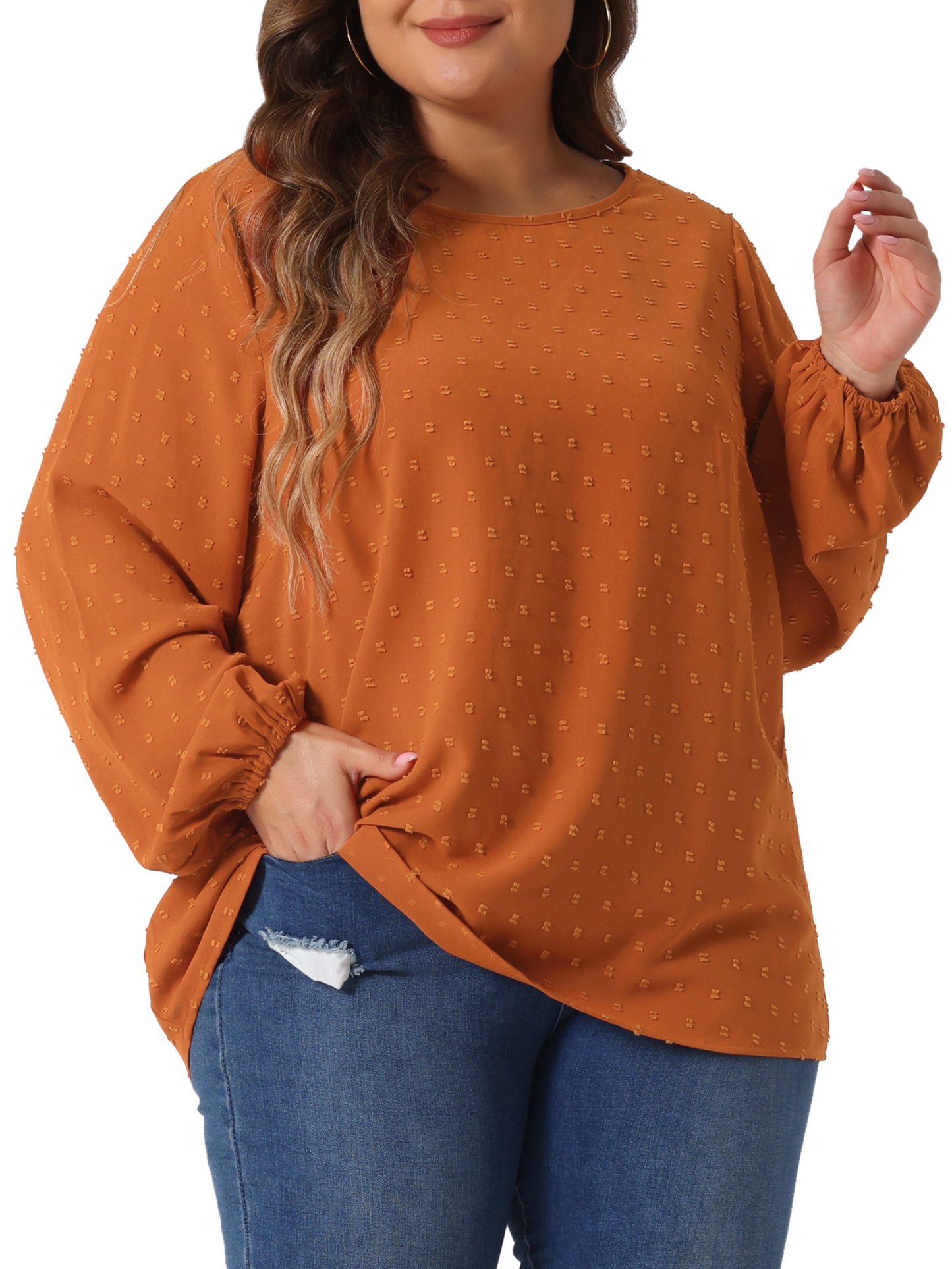 Women Plus Size Chiffon Swiss Dots Long Sleeve Blouses