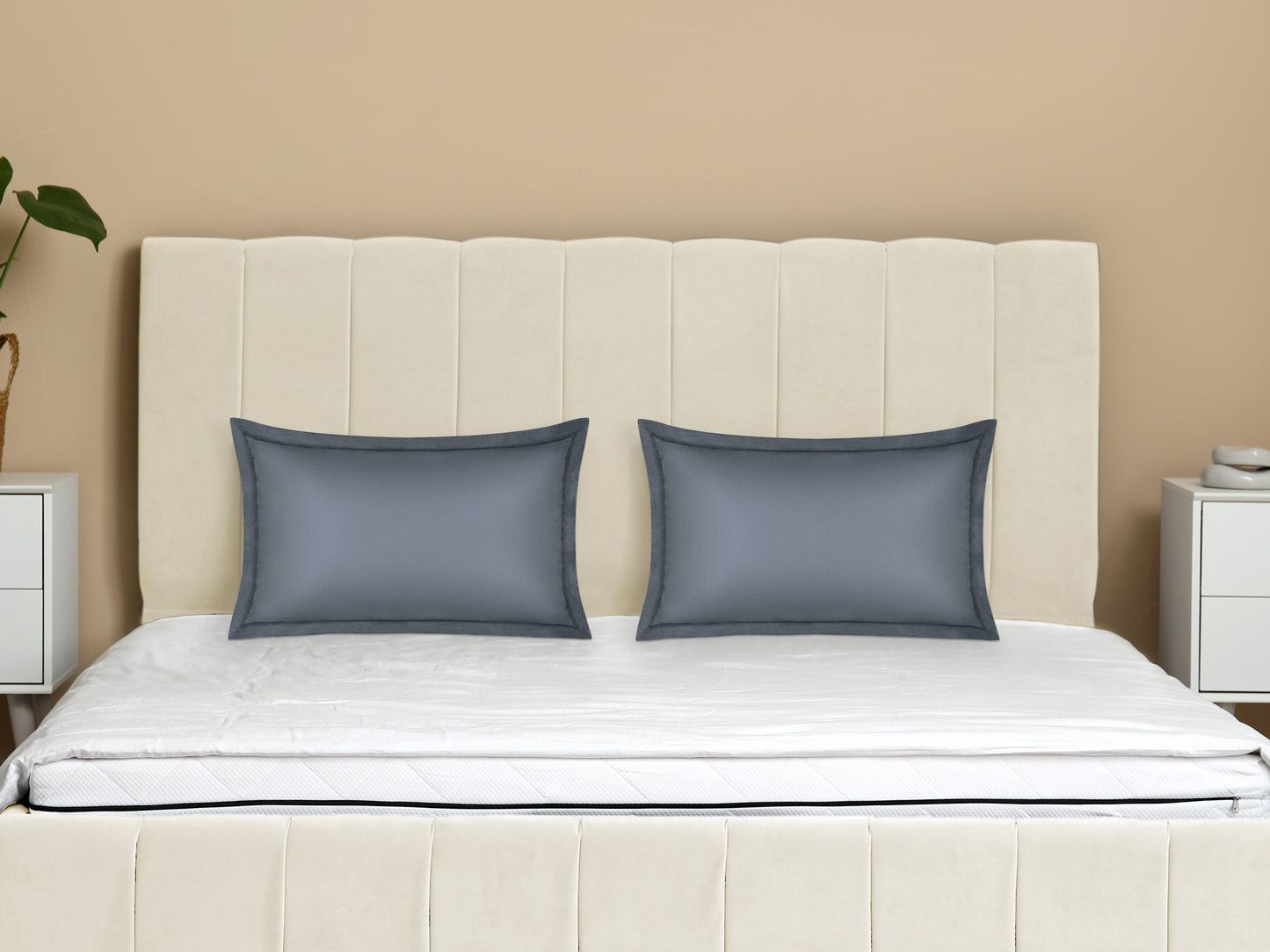 Velvet Pillow Cases Queen Size Set of 2, Pillow Covers with Zipper Closure