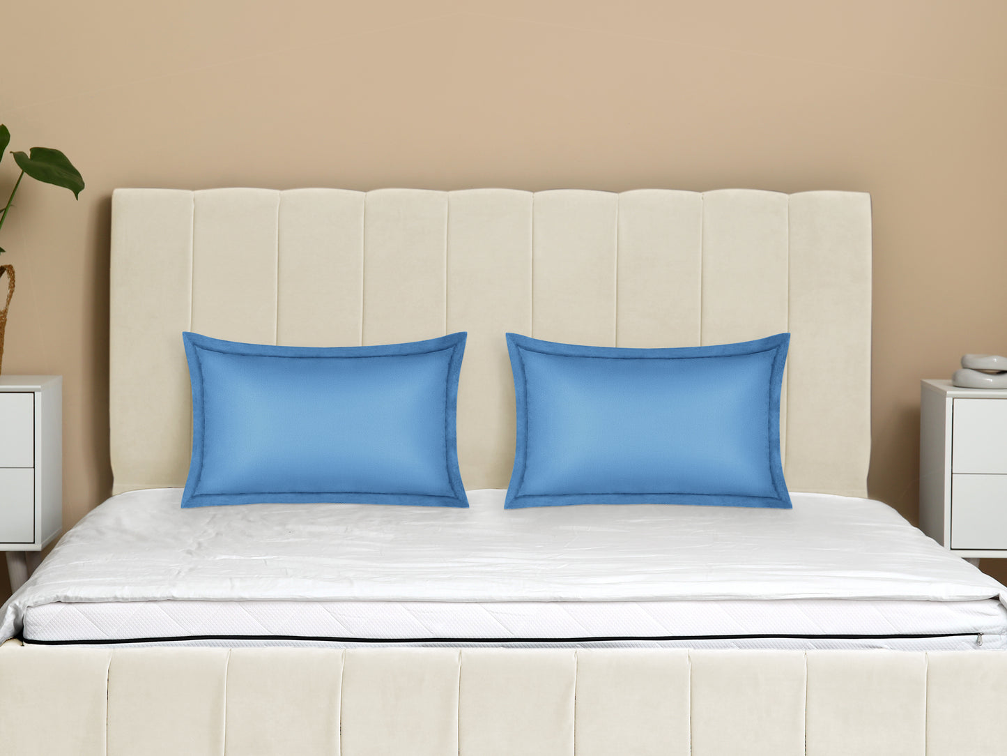 Velvet Pillow Cases Queen Size Set of 2, Pillow Covers with Zipper Closure