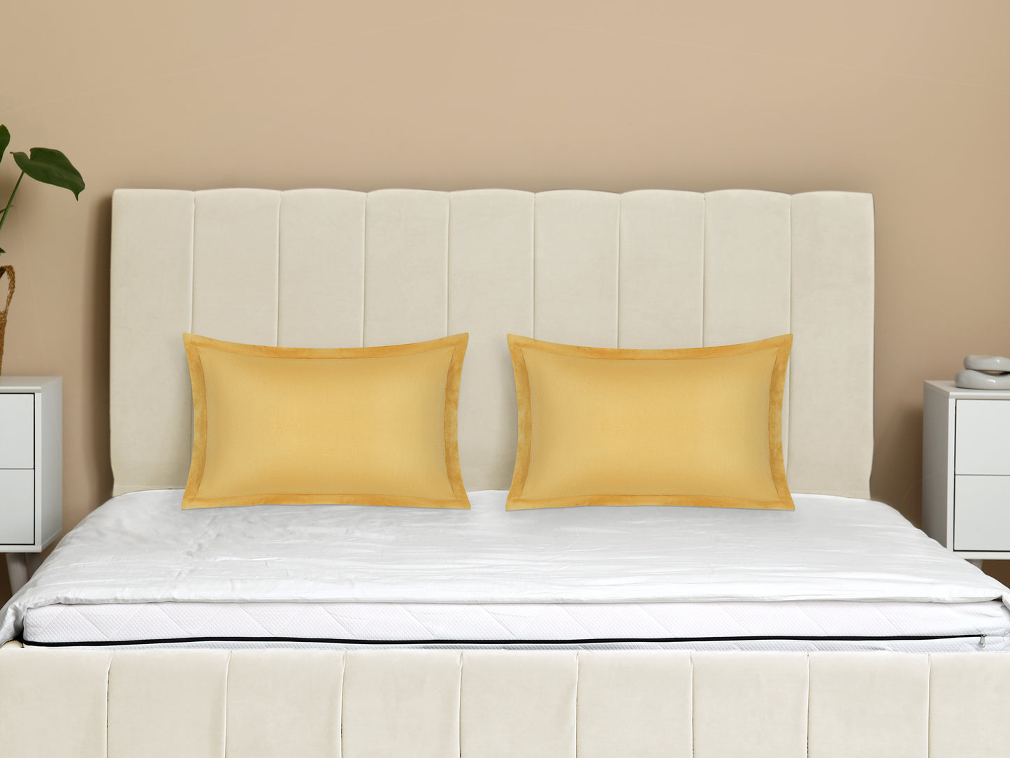 Velvet Pillow Cases Queen Size Set of 2, Pillow Covers with Zipper Closure