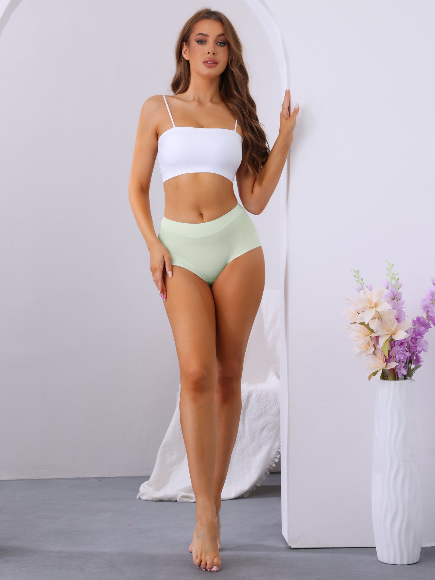 Women's Mid-Waisted Full Coverage Briefs Classic Underwear