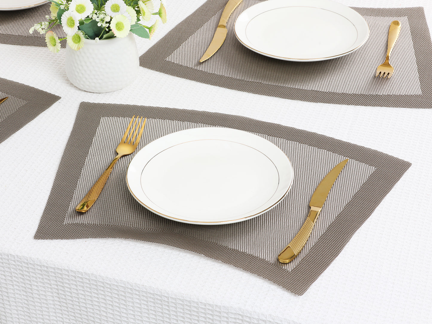 Placemats Set of 8,PVC for Kitchen Dining Table Decor Washable Heat Resistant 18*13in