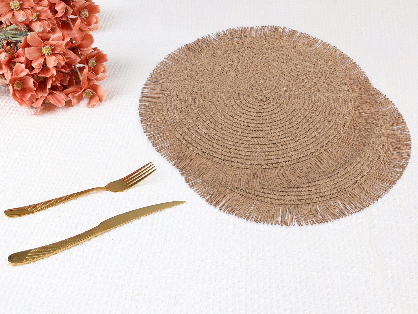 Rustic Placemats Set of 6 Tassel for Dining Table Decor Wipe Clean 15*15in
