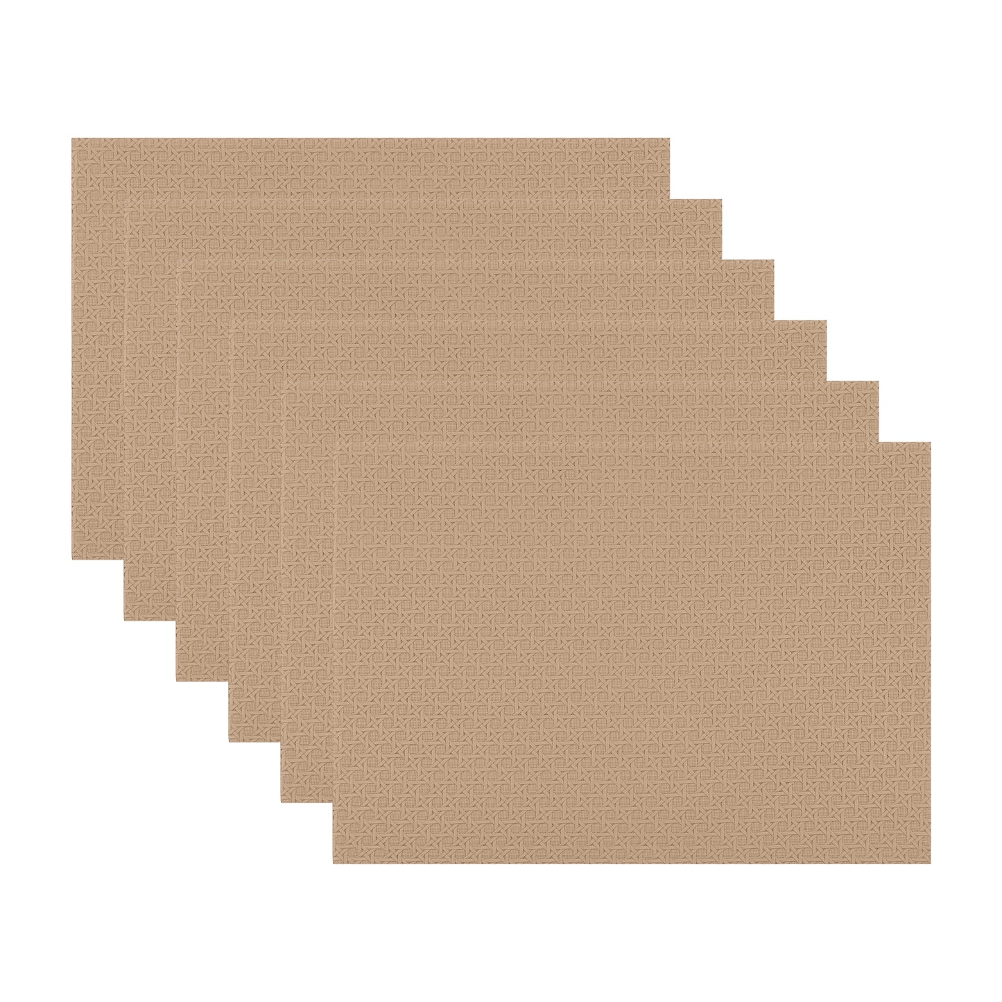 Placemats Set of 6 Woven for Dining Table Decor Indoor Outdoor Washable 17*12in