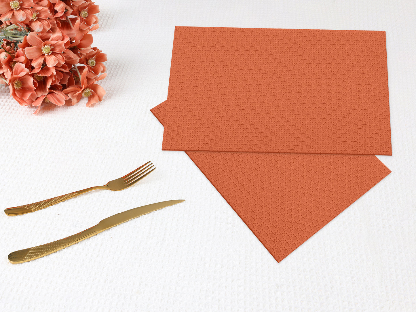 Placemats Set of 6 Woven for Dining Table Decor Indoor Outdoor Washable 17*12in